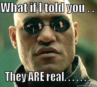 WHAT IF I TOLD YOU . .  THEY ARE REAL. . . . . . . Matrix Morpheus