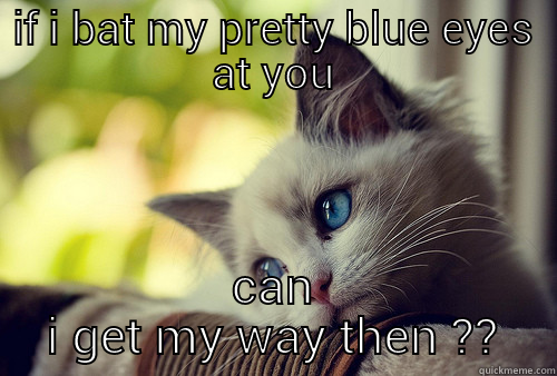 IF I BAT MY PRETTY BLUE EYES AT YOU CAN I GET MY WAY THEN ?? First World Problems Cat