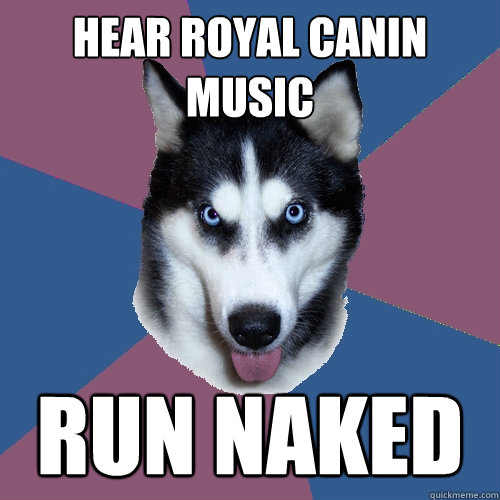 hear royal canin music run naked  Creeper Canine