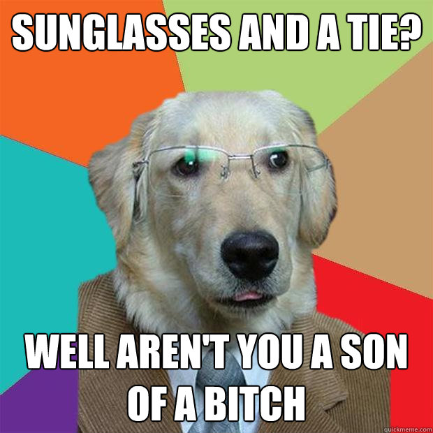 Sunglasses and a tie? Well aren't you a son of a bitch  Business Dog