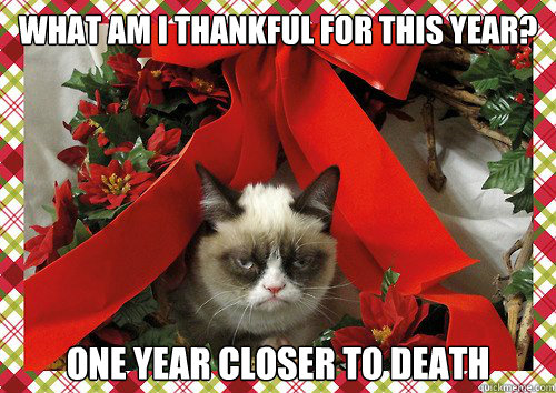 What am I thankful for this year? One year closer to death  A Grumpy Cat Christmas