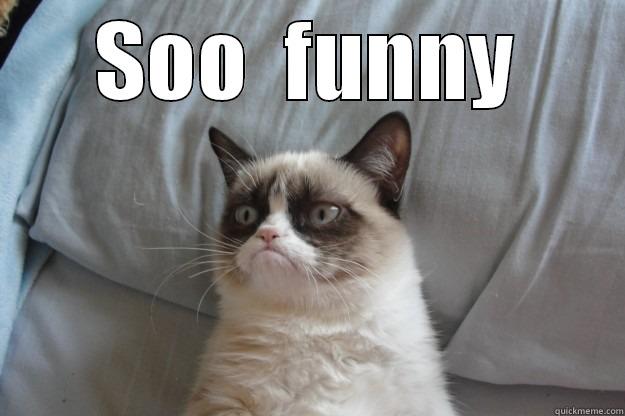 SOO  FUNNY  Grumpy Cat