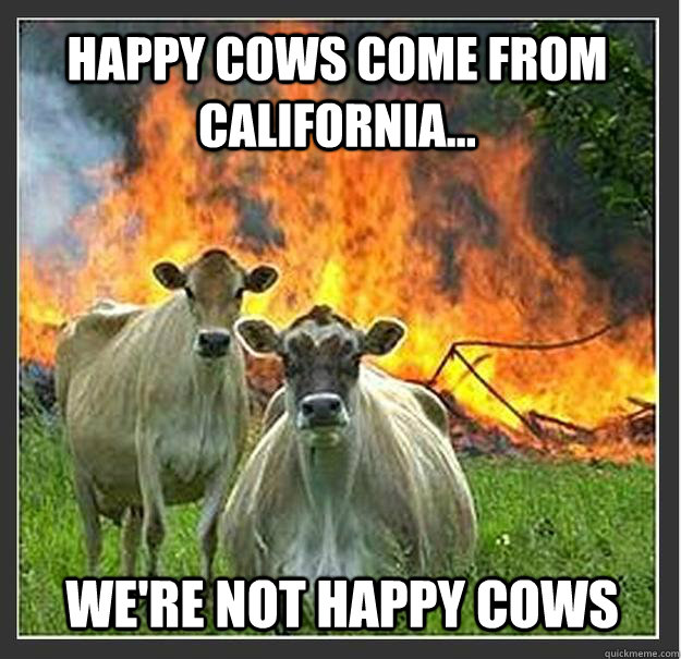 Happy cows come from California... we're not happy cows   Evil cows