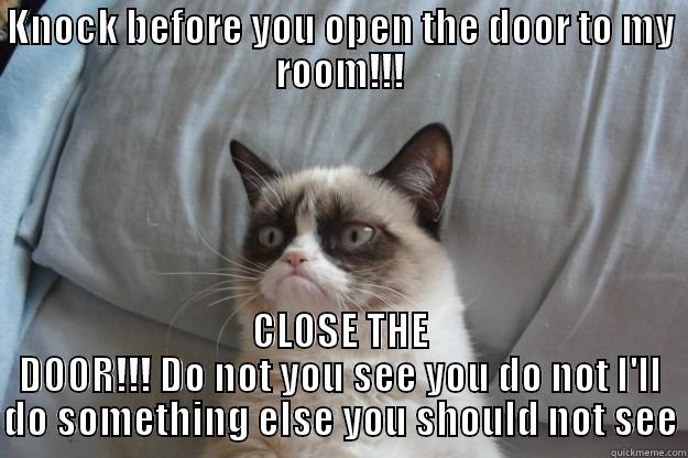 KNOCK BEFORE YOU OPEN THE DOOR TO MY ROOM!!! CLOSE THE DOOR!!! DO NOT YOU SEE YOU DO NOT I'LL DO SOMETHING ELSE YOU SHOULD NOT SEE Grumpy Cat