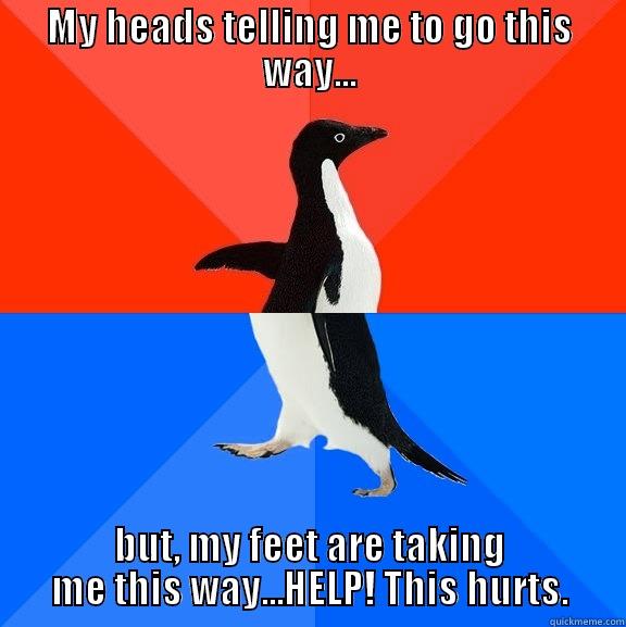 MY HEADS TELLING ME TO GO THIS WAY... BUT, MY FEET ARE TAKING ME THIS WAY...HELP! THIS HURTS. Socially Awesome Awkward Penguin