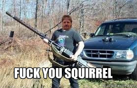  Fuck you Squirrel  