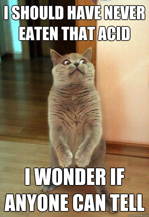 I should have never eaten that acid I wonder if anyone can tell  Horrorcat