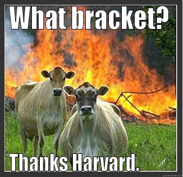 What bracket? - WHAT BRACKET? THANKS HARVARD.          Evil cows