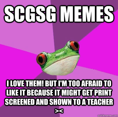 Scgsg memes I love them! but i'm too afraid to like it because it might get print screened and shown to a teacher >< - Scgsg memes I love them! but i'm too afraid to like it because it might get print screened and shown to a teacher ><  Foul Bachelorette Frog