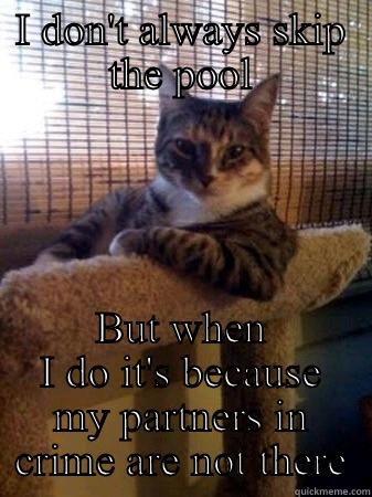 I DON'T ALWAYS SKIP THE POOL BUT WHEN I DO IT'S BECAUSE MY PARTNERS IN CRIME ARE NOT THERE The Most Interesting Cat in the World