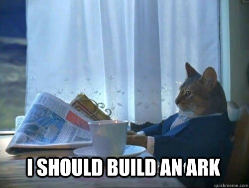 I should build an ark - I should build an ark  Fancy Cat