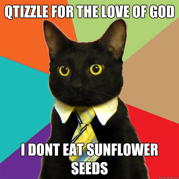 qtizzle for the love of god I dont eat sunflower seeds  Business Cat