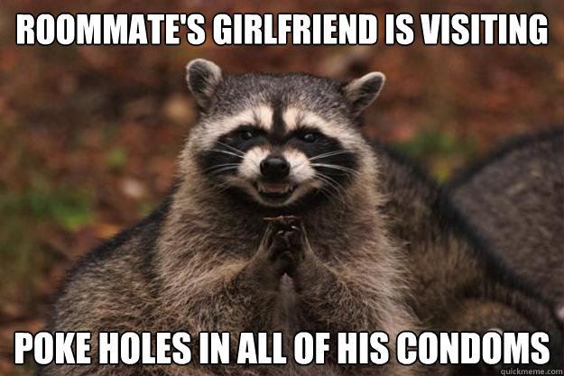 Roommate's girlfriend is visiting  Poke holes in all of his condoms - Roommate's girlfriend is visiting  Poke holes in all of his condoms  Evil Plotting Raccoon