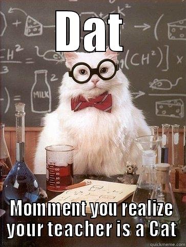 DAT MOMMENT YOU REALIZE YOUR TEACHER IS A CAT Chemistry Cat