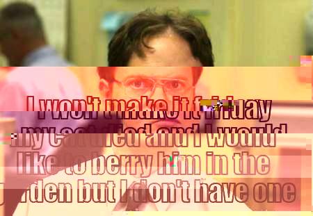  I WON'T MAKE IT FRIDAY MY CAT DIED AND I WOULD LIKE TO BERRY HIM IN THE GARDEN BUT I DON'T HAVE ONE Schrute