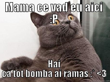 MAMA CE VAD EU AICI :P HAI CA TOT BOMBA AI RAMAS :* <3 conspiracy cat