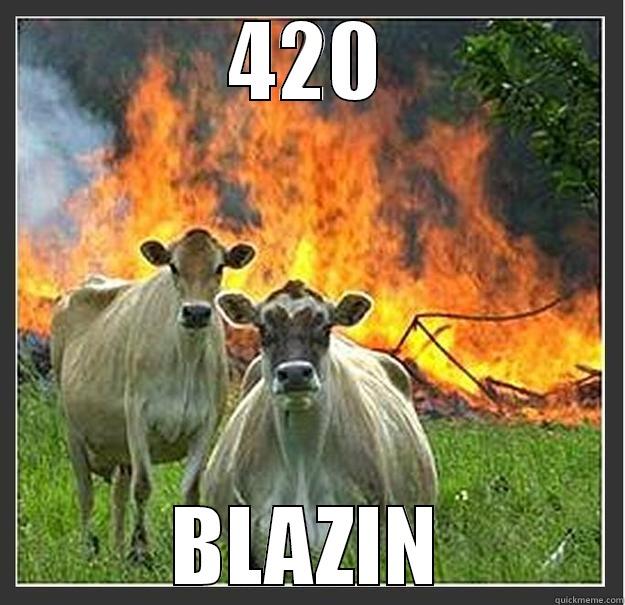 weed cows - 420 BLAZIN Evil cows