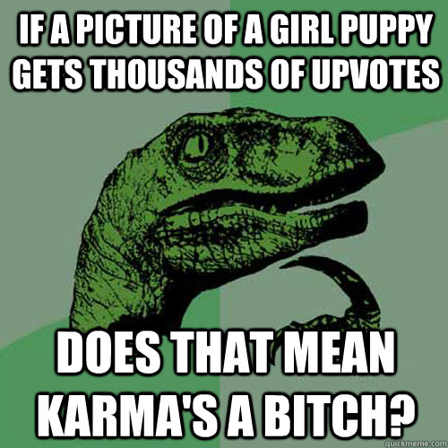 if a picture of a girl puppy gets thousands of upvotes does that mean karma's a bitch?  Philosoraptor