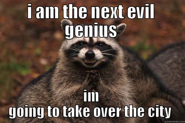 I AM THE NEXT EVIL GENIUS IM GOING TO TAKE OVER THE CITY  Evil Plotting Raccoon