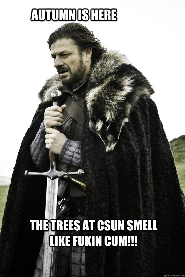 Autumn is here The trees at CSUN smell like fukin cum!!!  