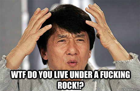  WTF Do you live under a fucking rock!? -  WTF Do you live under a fucking rock!?  EPIC JACKIE CHAN