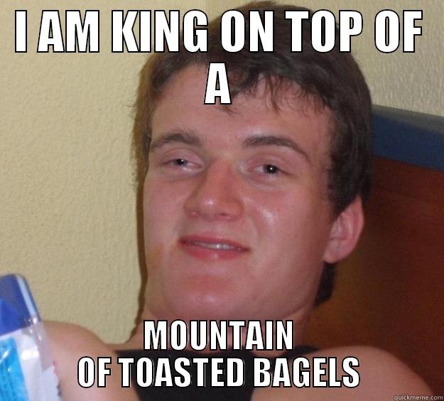 Toasted Bagels - I AM KING ON TOP OF A MOUNTAIN OF TOASTED BAGELS 10 Guy