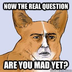 Now the real question  Are you mad yet?  - Now the real question  Are you mad yet?   man-corgi