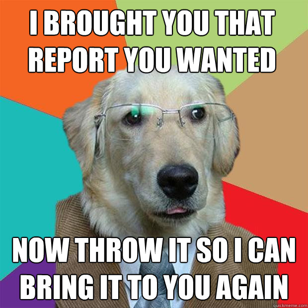 I brought you that report you wanted Now throw it so I can bring it to you again  Business Dog