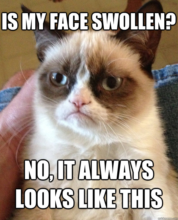 Is my face swollen? No, it always looks like this  Grumpy Cat