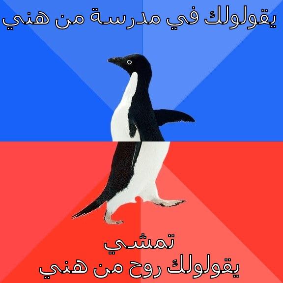 يقولولك في مدرسة من هني  تمشي يقولولك روح من هني  Socially Awkward Awesome Penguin