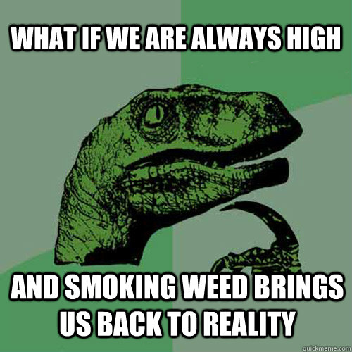 what if we are always high and smoking weed brings us back to reality  Philosoraptor