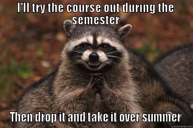 I'LL TRY THE COURSE OUT DURING THE SEMESTER THEN DROP IT AND TAKE IT OVER SUMMER Evil Plotting Raccoon