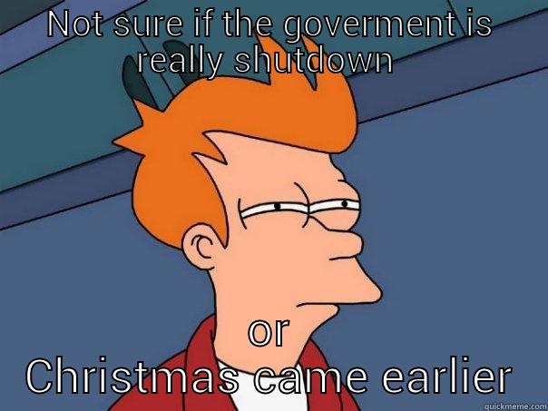 NOT SURE IF THE GOVERMENT IS REALLY SHUTDOWN  OR CHRISTMAS CAME EARLIER Futurama Fry