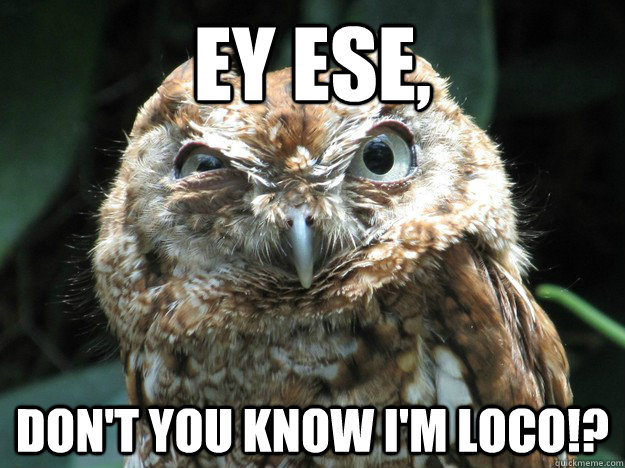 Ey Ese,  Don't You Know I'm Loco!? - Ey Ese,  Don't You Know I'm Loco!?  Loco Owl