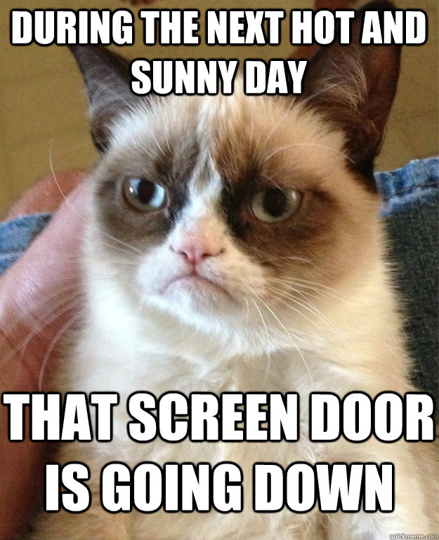 During the next hot and sunny day That screen door is going down  Grumpy Cat