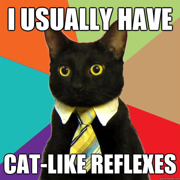 I usually have Cat-Like Reflexes - I usually have Cat-Like Reflexes  Business Cat