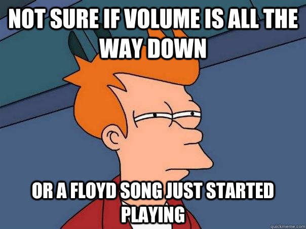 Not sure if volume is all the way down Or a Floyd song just started playing - Not sure if volume is all the way down Or a Floyd song just started playing  Futurama Fry