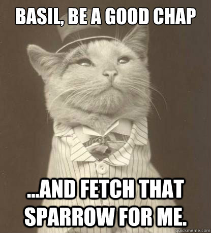 Basil, be a good chap ...and fetch that sparrow for me.  Aristocat