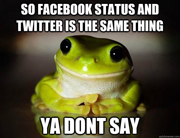 SO Facebook status and twitter is the same thing Ya Dont Say - SO Facebook status and twitter is the same thing Ya Dont Say  Fascinated Frog