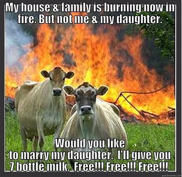 MY HOUSE & FAMILY IS BURNING NOW IN FIRE. BUT NOT ME & MY DAUGHTER. WOULD YOU LIKE TO MARRY MY DAUGHTER.  I'LL GIVE YOU 7 BOTTLE MILK.  FREE!!! FREE!!! FREE!!!  Evil cows