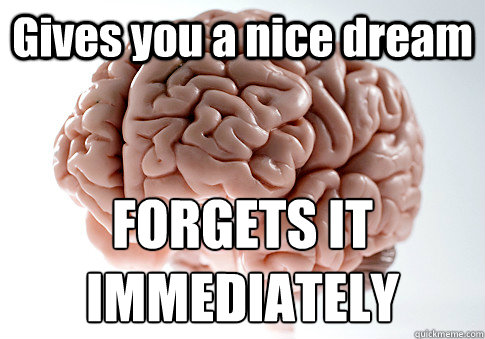 Gives you a nice dream FORGETS IT IMMEDIATELY   Scumbag Brain