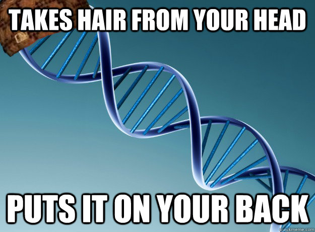 Takes hair from your head puts it on your back  Scumbag Genetics