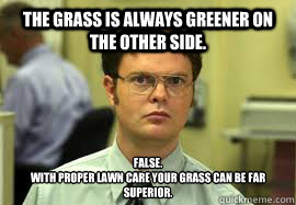 The grass is always greener on the other side. False. 
With proper lawn care your grass can be far superior.  Dwight False