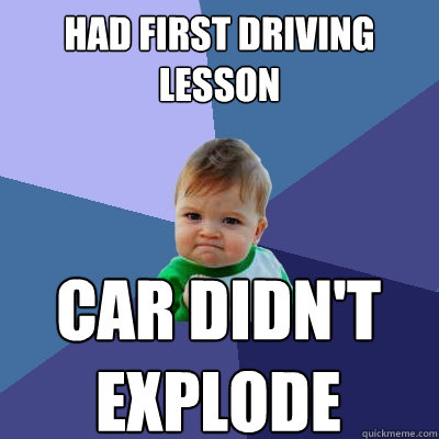 Had first driving lesson Car didn't explode  Success Kid