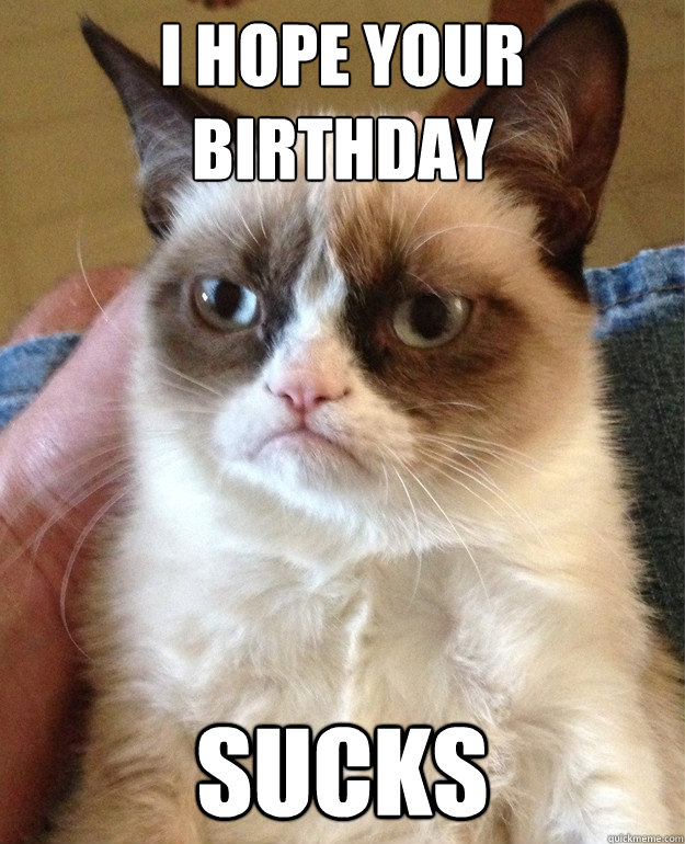 I hope your birthday sucks  Grumpy Cat