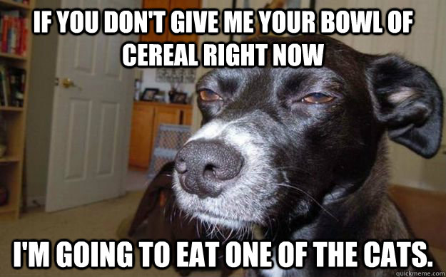 if you don't give me your bowl of cereal right now i'm going to eat one of the cats.   Skeptical Mutt