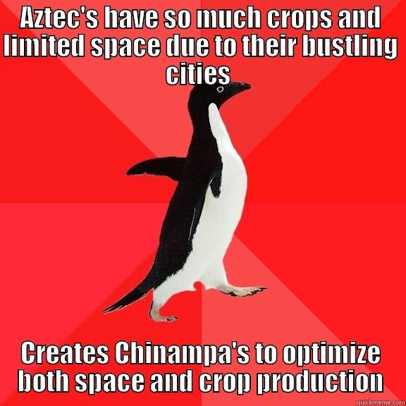 AZTEC'S HAVE SO MUCH CROPS AND LIMITED SPACE DUE TO THEIR BUSTLING CITIES  CREATES CHINAMPA'S TO OPTIMIZE BOTH SPACE AND CROP PRODUCTION Socially Awesome Penguin