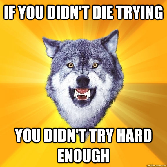 If you didn't die trying You didn't try hard enough  Courage Wolf