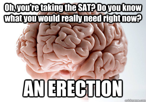 Oh, you're taking the SAT? Do you know what you would really need right now? AN ERECTION   Scumbag Brain