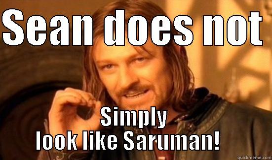 SEAN DOES NOT  SIMPLY LOOK LIKE SARUMAN!    Boromir